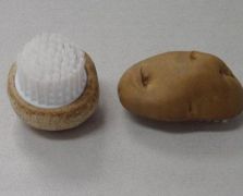 薯仔、蘑菇刷之二